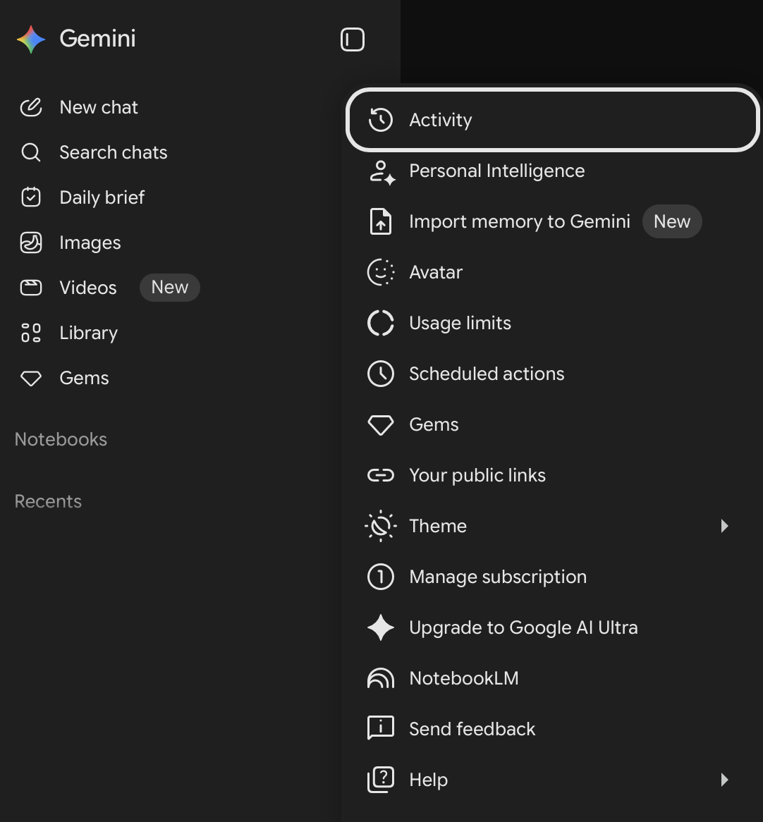 Gemini menu with the Activity option highlighted
